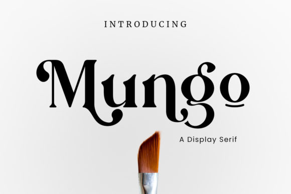 Mungo: A Chic Serif Font for Editorial Design